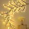 Willow Lights